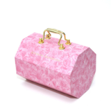 A cosmetic case